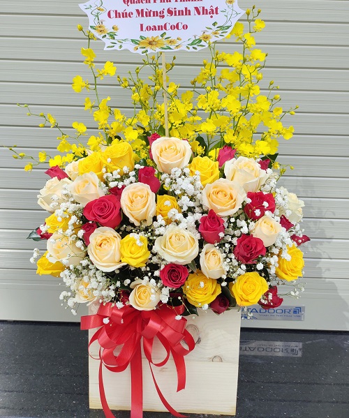 Shop hoa đông hòa phú yên