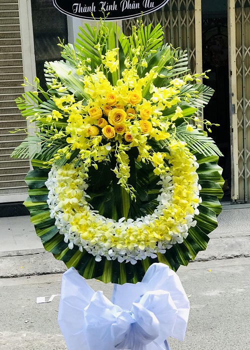hoa tươi sơn hòa phú yên