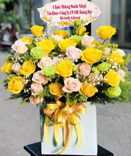 Shop hoa sơn hòa phú yên