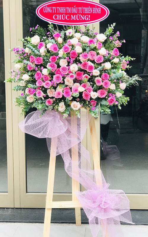 shop hoa sông cầu phú yên