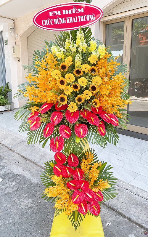 hoa tươi sông hinh phú yên