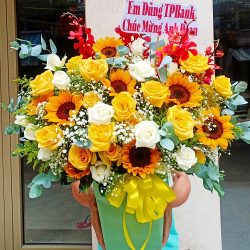 Shop hoa tây hòa phú yên