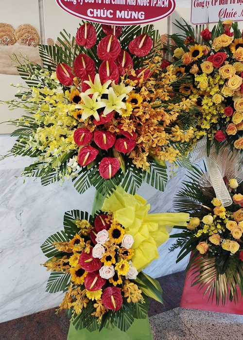 hoa tươi tuy an phú yên