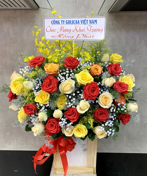 Shop hoa tuy an phú yên