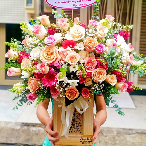 Shop hoa tuy hòa phú yên