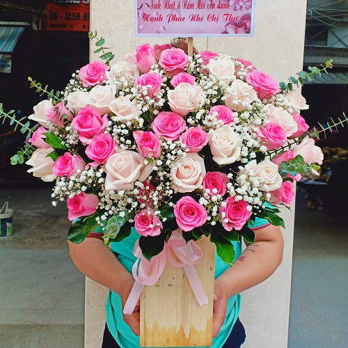 Shop hoa nam trà my quảng nam