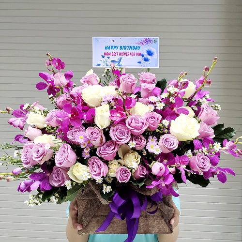 Shop hoa ba tơ quảng ngãi
