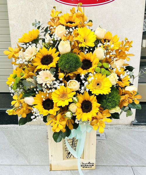 Shop hoa đức phổ quảng ngãi