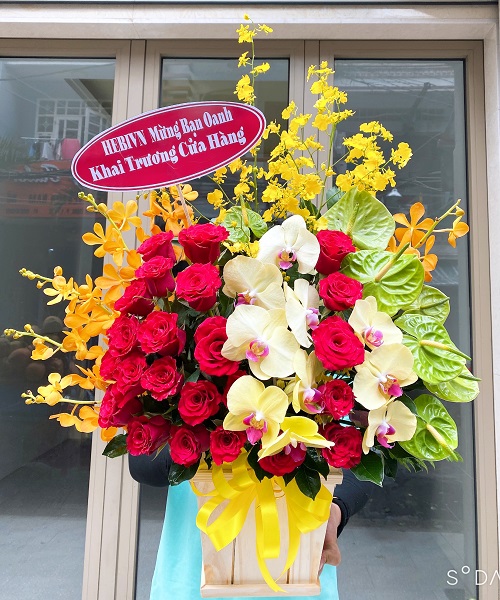 Shop hoa lý sơn quảng ngãi