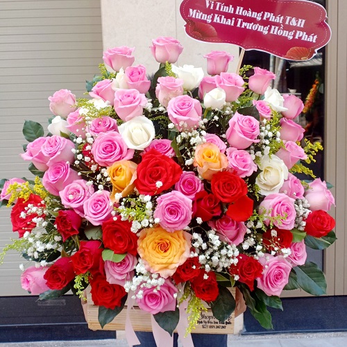 Shop hoa tây trà quảng ngãi