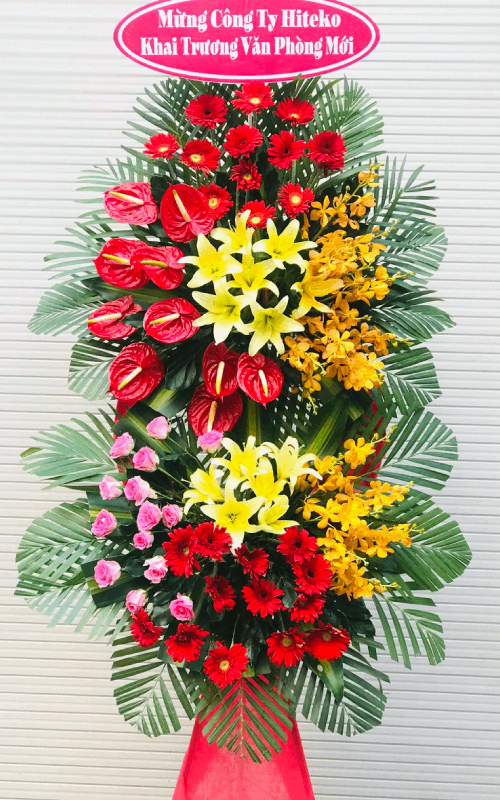 hoa khai trương ba chẽ quảng ninh