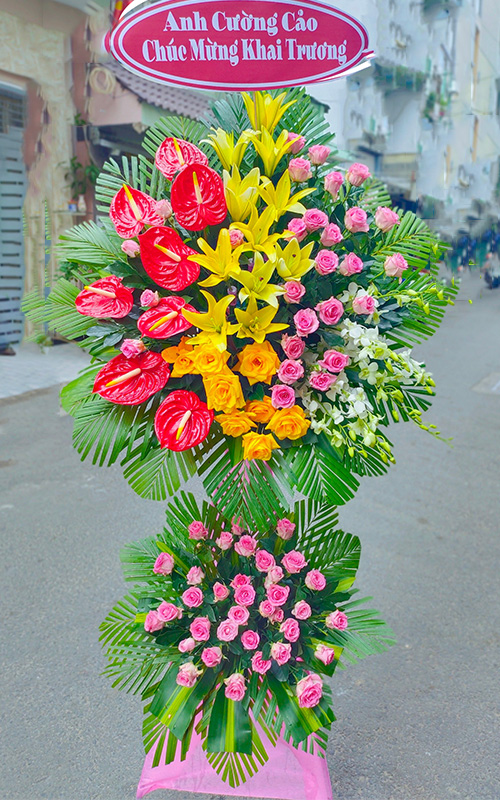 Shop hoa tươi cẩm phả