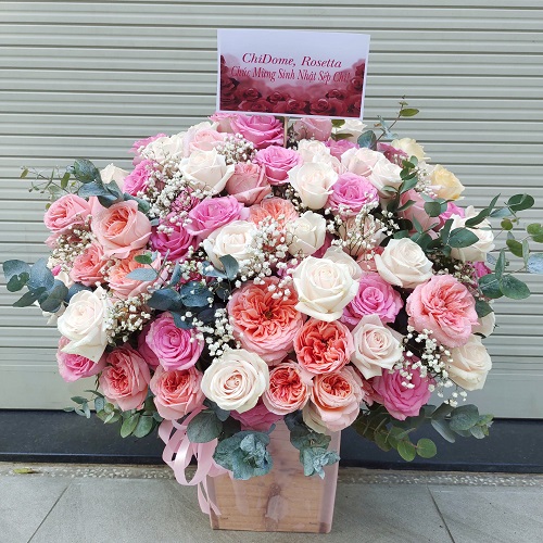 Shop hoa vân đồn quảng ninh