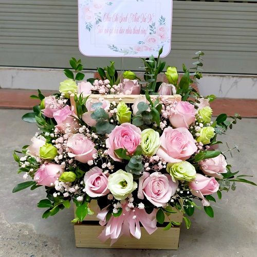 shop hoa bình lục hà nam