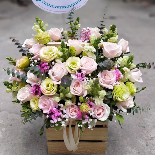 shop hoa lý nhân hà nam