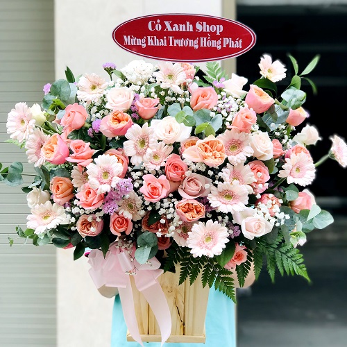 shop hoa mỹ tú sóc trăng