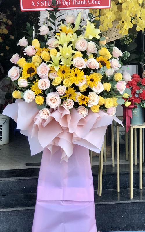kệ hoa khai trương trần đề sóc trăng