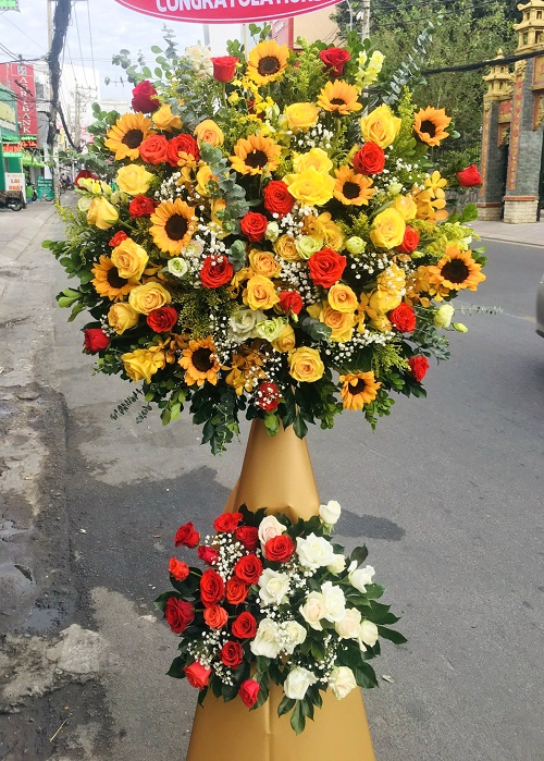 hoa tươi sông mã sơn la