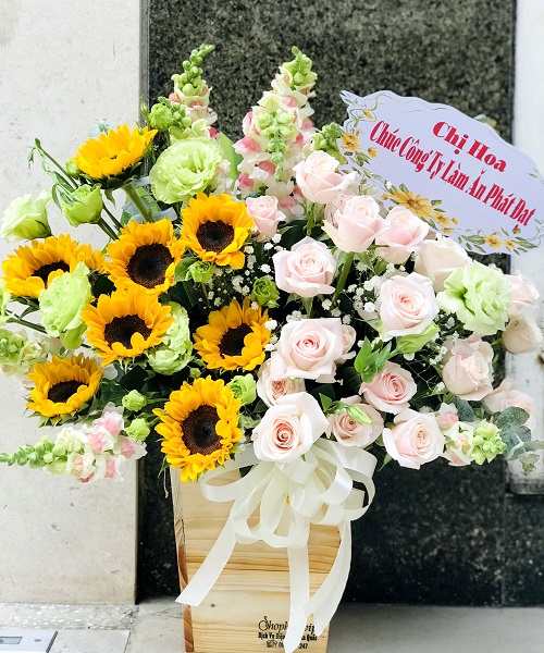 Shop hoa bến cầu tây ninh