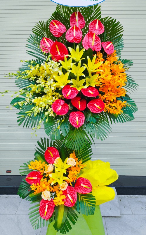 hoa tươi châu thành tây ninh