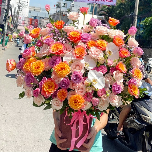 Shop hoa dương minh châu tây ninh