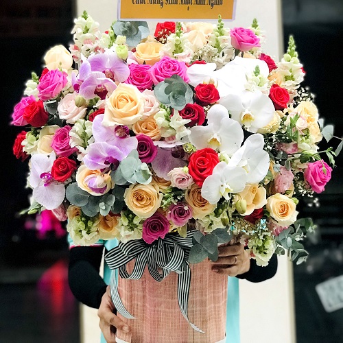 Shop hoa đông hưng thái bình