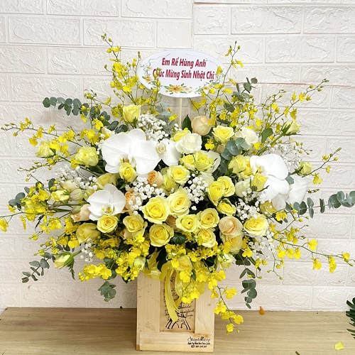 Shop hoa kiến xương thái bình