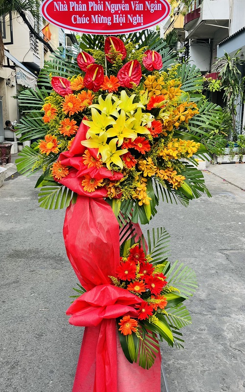 hoa khai trương quỳnh phụ thái bình