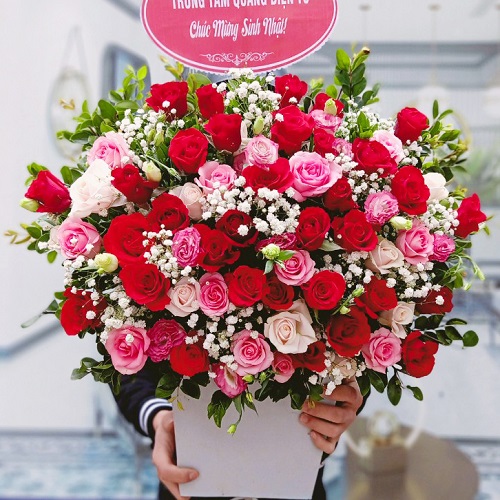 hoa sinh nhật quỳnh phụ thái bình