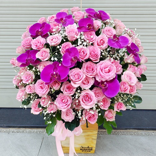 shop hoa tiền hải thái bình