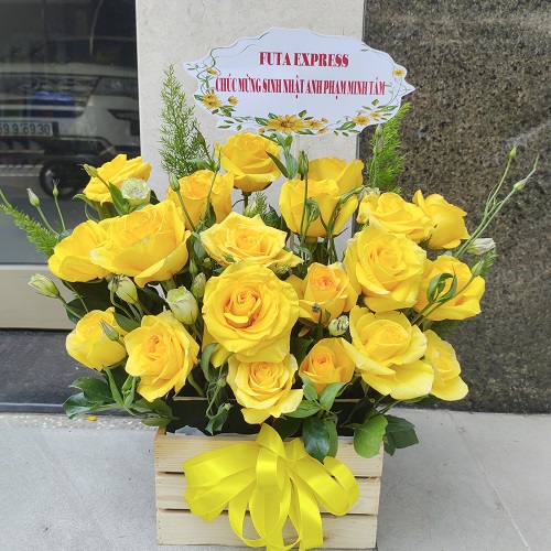 Shop hoa quảng điền thừa thiên huế