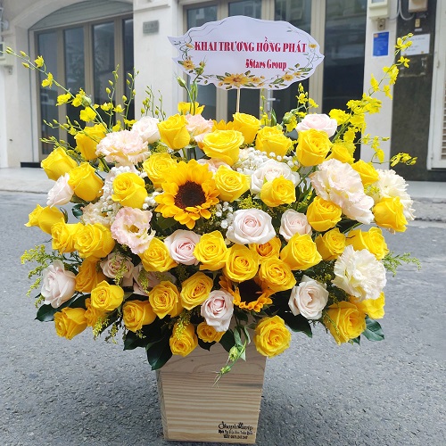 Shop hoa châu thành tiền giang