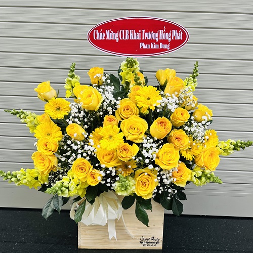 Shop hoa gò công đông tiền giang