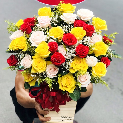 Shop hoa gò công tây tiền giang