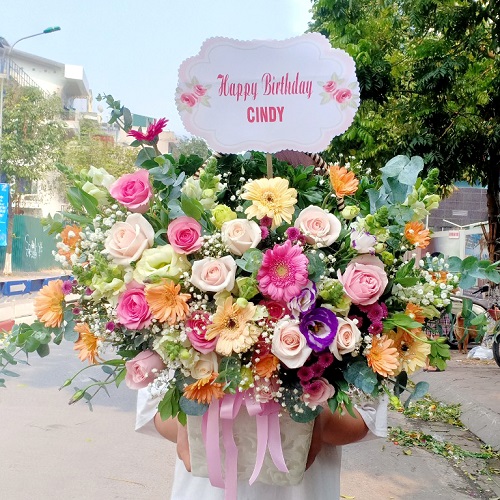 shop hoa trà cú trà vinh