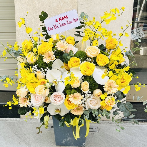 Shop hoa hàm yên tuyên quang