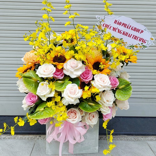 Shop hoa lâm bình tuyên quang