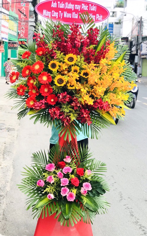 hoa tươi sơn dương tuyên quang
