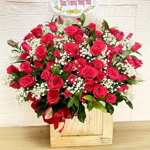Shop hoa sơn dương tuyên quang