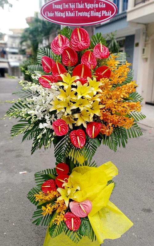 hoa tươi mang thít vĩnh long