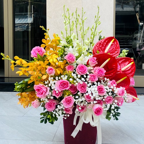 Shop hoa tam đảo vĩnh phúc