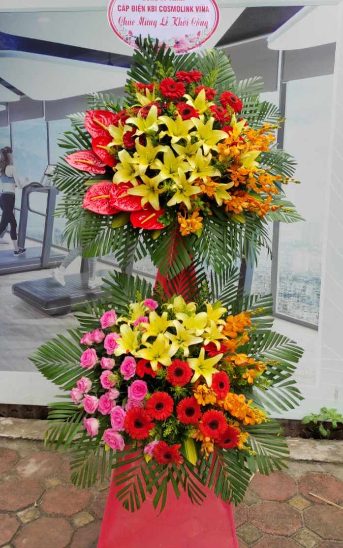 Hoa khai trương văn chấn yên bái