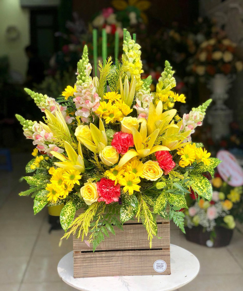 Cửa hàng hoa tươi Đắk Glong Đắk Nông