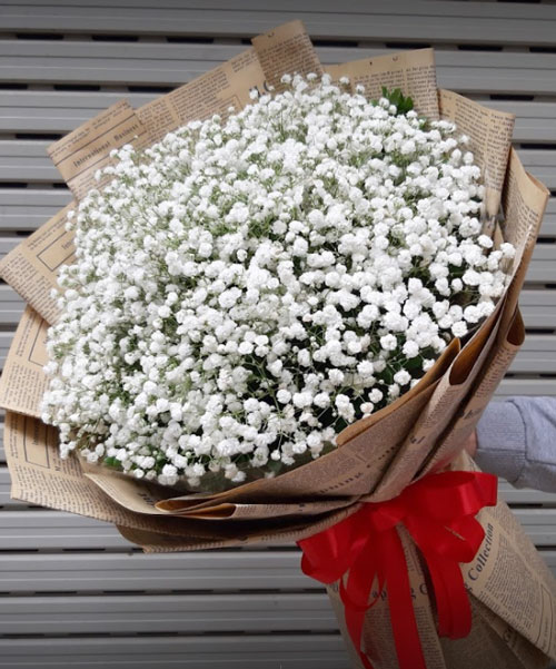 Shop hoa Đắk Nông