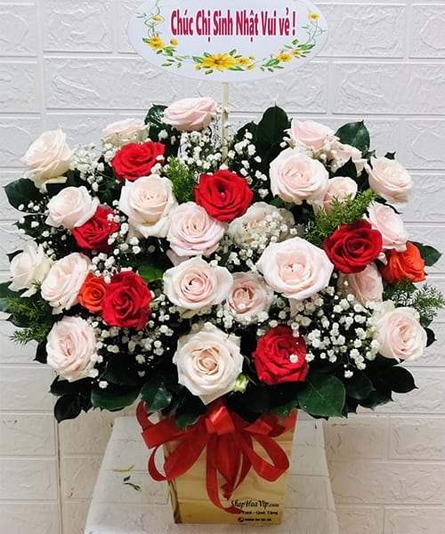 shop hoa tươi Hồng Dân Bạc Liêu