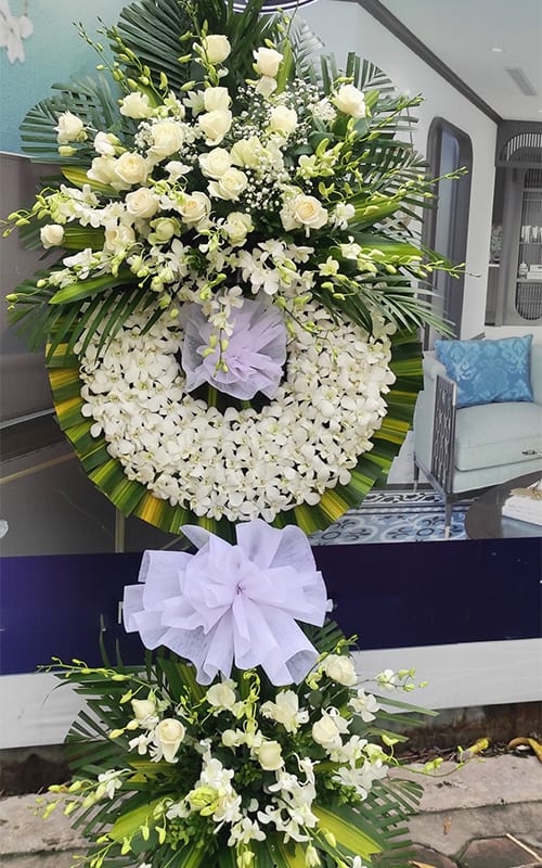 Hoa Tươi Đẹp Tại Giồng Trôm Bến Tre