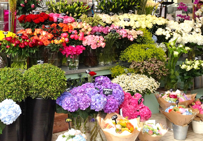 Shop hoa tươi Bình Định