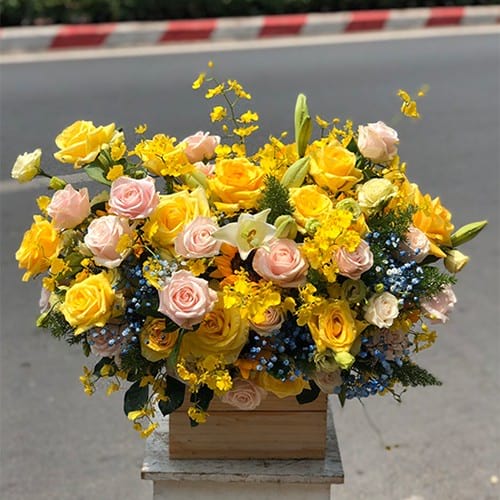 Shop Hoa Phú Giáo Bình Dương