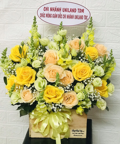 Hoa Tươi Bù Gia Mập Bình Phước