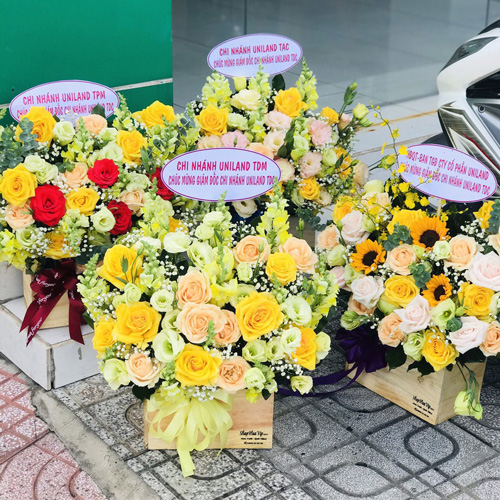 Hoa tươi chúc mừng đẹp tại shop hoa tươi Chơn Thành Bình Phước